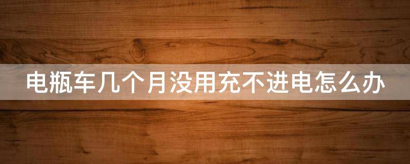 电瓶车几个月没用充不进电怎么办（电动车三个月没骑充不进电）
