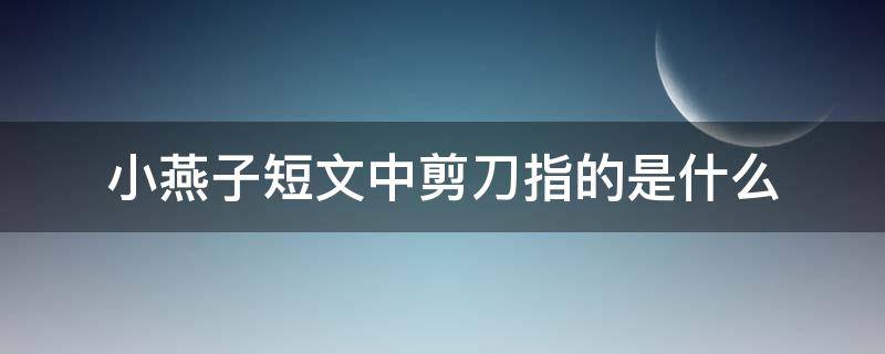 小燕子短文中剪刀指的是什么（小燕子带着一把剪刀指的是什么）