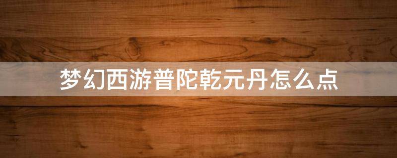 梦幻西游普陀乾元丹怎么点（普陀乾元丹怎么加）