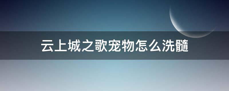 云上城之歌宠物怎么洗髓（云上城之歌宠物洗髓技巧）