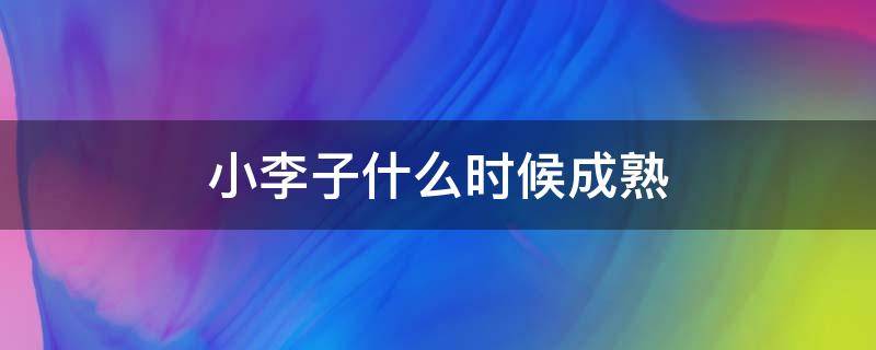 小李子什么时候成熟（小李子水果什么时候成熟）