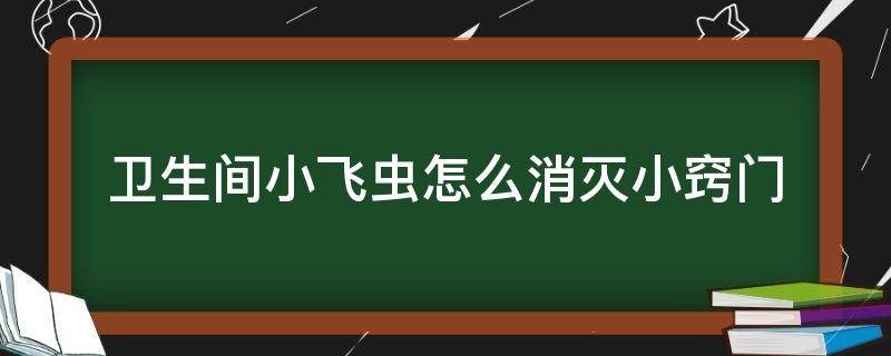 卫生间小飞虫怎么消灭小窍门 卫生间小飞虫用什么办法消灭?