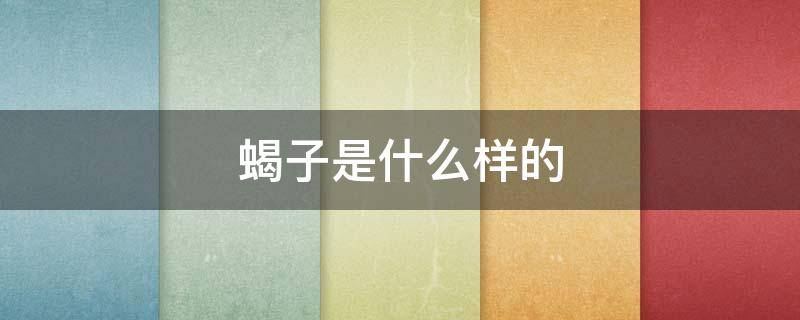 蝎子是什么样的（蝎子是什么样的人）