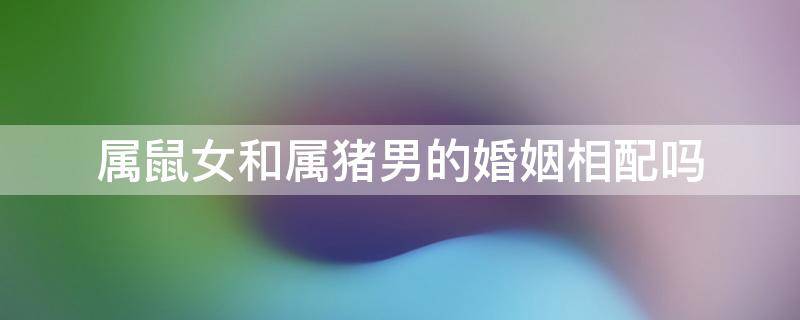属鼠女和属猪男的婚姻相配吗（属鼠女和属猪男猪相配婚姻如何）