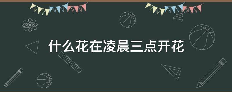 什么花在凌晨三点开花 什么花凌晨3点开花