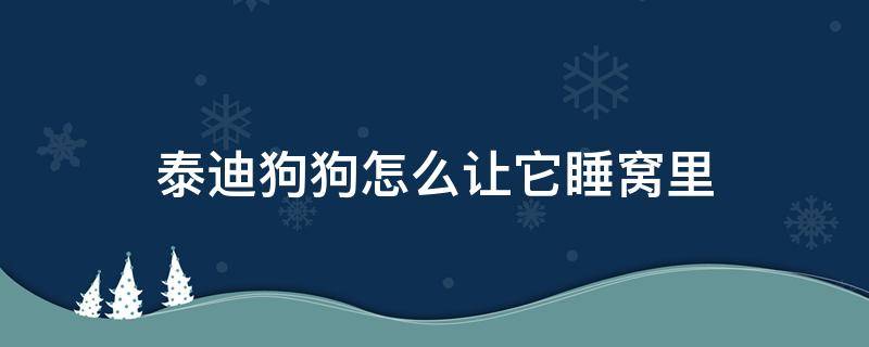 泰迪狗狗怎么让它睡窝里 怎样让泰迪狗睡觉