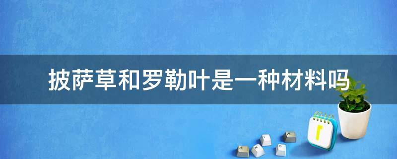 披萨草和罗勒叶是一种材料吗 罗勒叶和披萨草做披萨哪个好