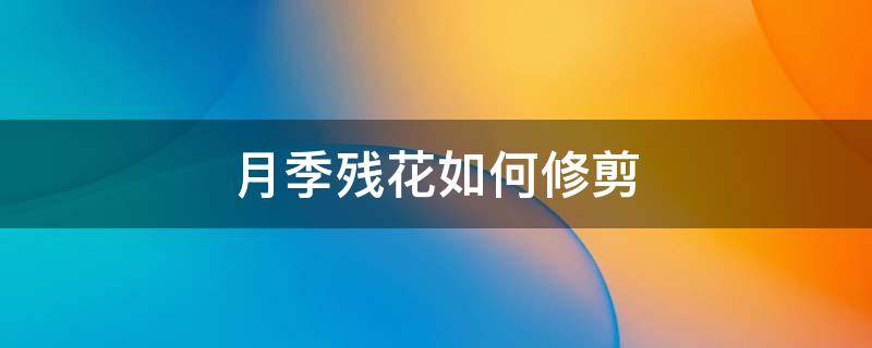 月季残花如何修剪（月季残花怎么修剪）