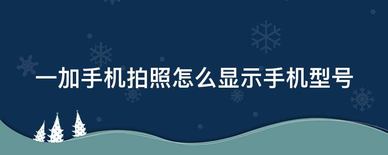 一加手机拍照怎么显示手机型号 一加手机拍照怎么显示手机型号呢