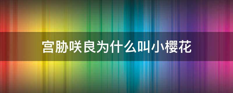宫胁咲良为什么叫小樱花（宫胁咲良为什么叫黑樱）