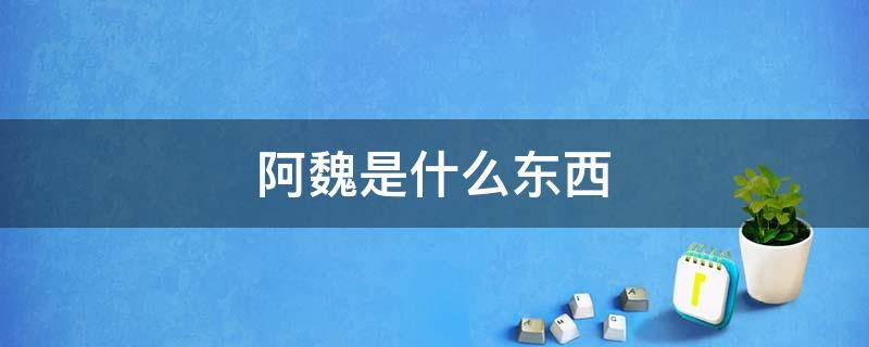 阿魏是什么东西 新疆五彩阿魏是什么东西