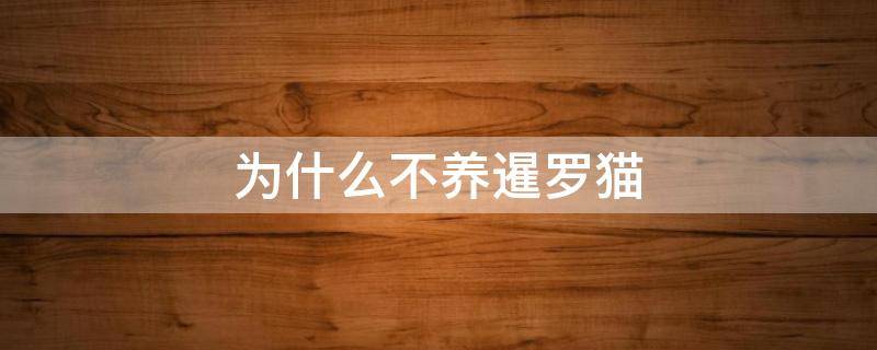 为什么不养暹罗猫（暹罗猫咪好不好养）