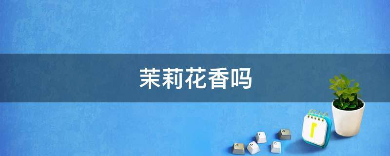 茉莉花香吗（盆栽茉莉花香吗）