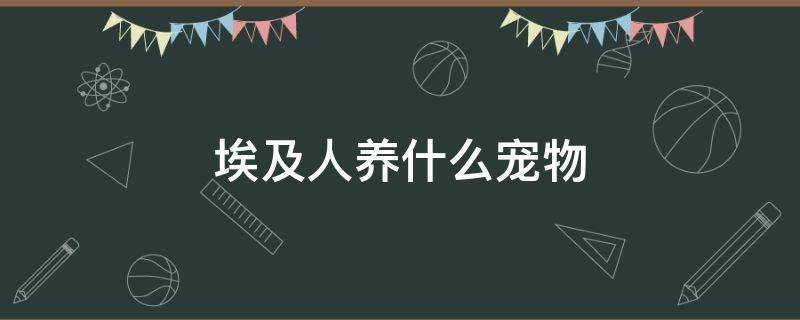 埃及人养什么宠物（古埃及的宠物）