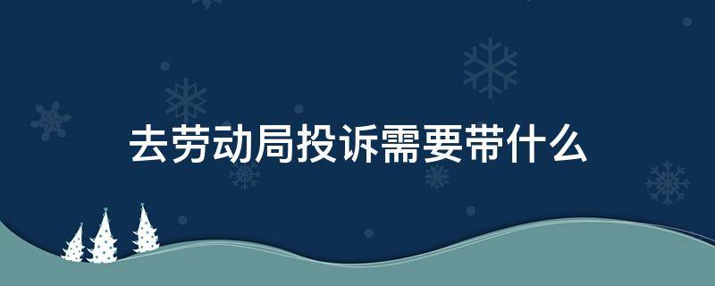 去劳动局投诉需要带什么 去劳动局投诉需要哪些资料