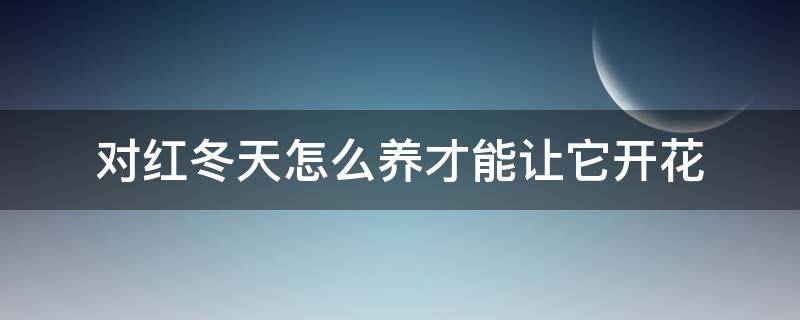 对红冬天怎么养才能让它开花 对红冬天需要浇水吗