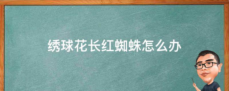 绣球花长红蜘蛛怎么办 绣球花长了红蜘蛛怎么办