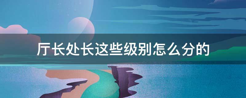 厅长处长这些级别怎么分的（厅长科长处长级别划分）