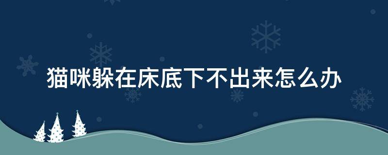 猫咪躲在床底下不出来怎么办（猫咪躲进床底不出来怎么办）