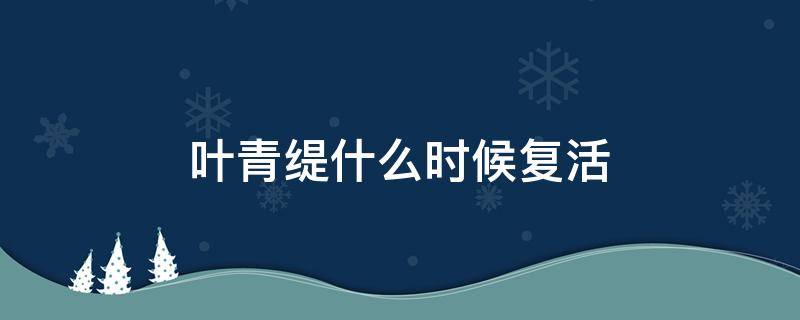 叶青缇什么时候复活 叶青缇复活了吗