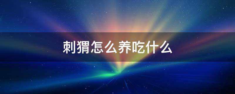 刺猬怎么养吃什么（刺猬吃啥刺猬怎么养）