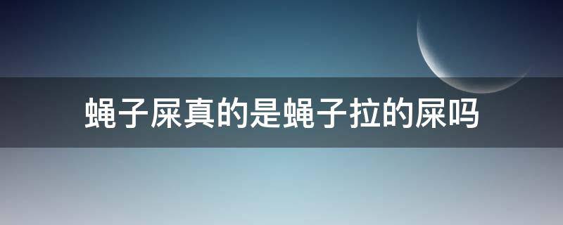 蝇子屎真的是蝇子拉的屎吗 蝇子屎是怎么形成的