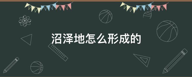 沼泽地怎么形成的（沼泽地怎样形成的）