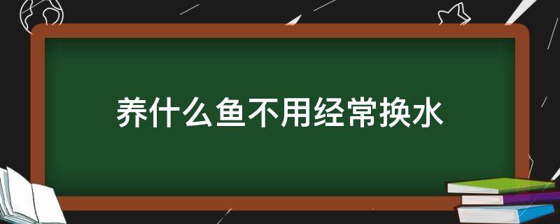 养什么鱼不用经常换水 什么鱼不需要经常换水