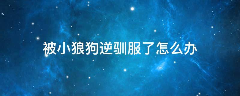 被小狼狗逆驯服了怎么办 被小狼狗逆驯服了怎么办?小说