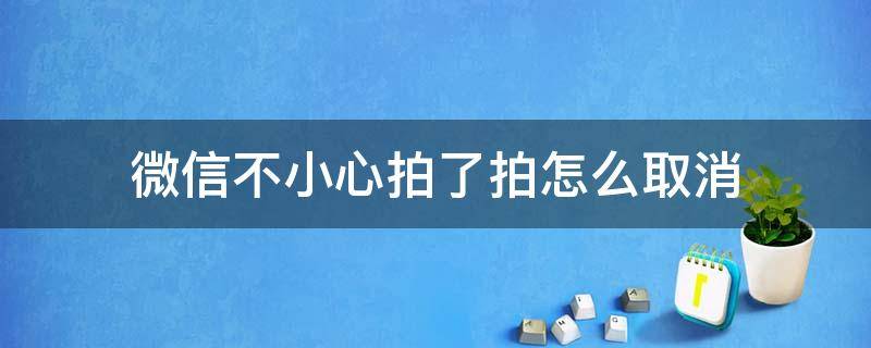 微信不小心拍了拍怎么取消 微信不小心拍了拍怎么撤销