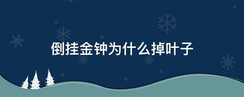 倒挂金钟为什么掉叶子 倒挂金钟大量掉叶是什么原因