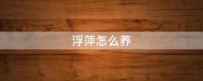 浮萍怎么养（芝麻浮萍怎么养）