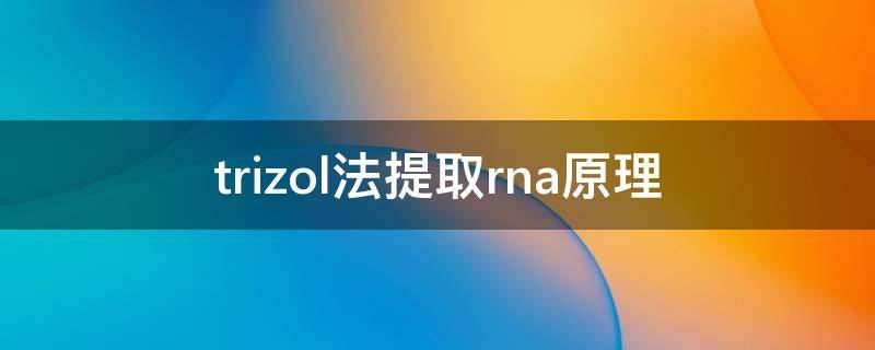 trizol法提取rna原理（trizol法提取rna原理三层）