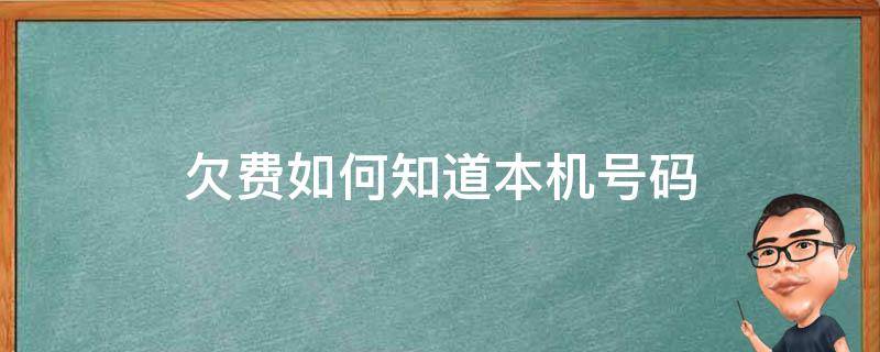 欠费如何知道本机号码 手机欠费如何知道本机号码