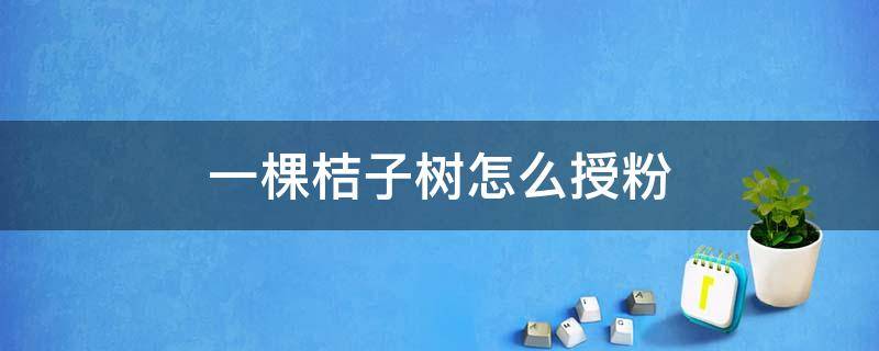 一棵桔子树怎么授粉（桔子树是同株授粉）
