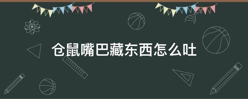 仓鼠嘴巴藏东西怎么吐（仓鼠从嘴里吐东西）