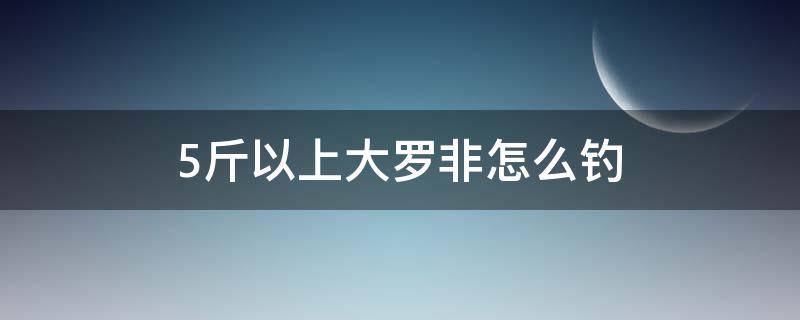 5斤以上大罗非怎么钓 大罗非用什么钓