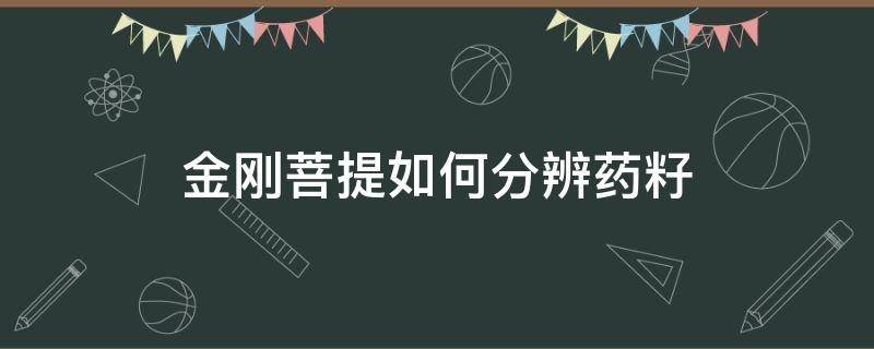 金刚菩提如何分辨药籽 金刚怎么分辨药籽