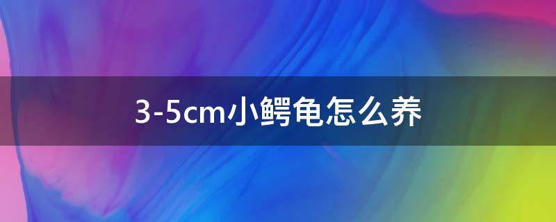 3-5cm小鳄龟怎么养 3-5cm小鳄龟怎么养喂鬼粮可以吗