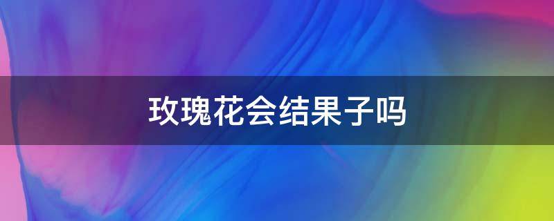 玫瑰花会结果子吗（玫瑰花会结果子吗如果会是什么样子的）