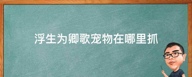 浮生为卿歌宠物在哪里抓 浮生为卿歌宠物在哪里抓龙猫