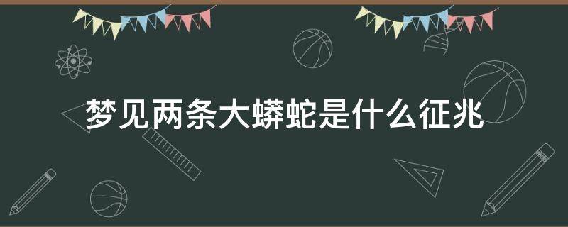 梦见两条大蟒蛇是什么征兆 女人梦见两条大蟒蛇是什么征兆