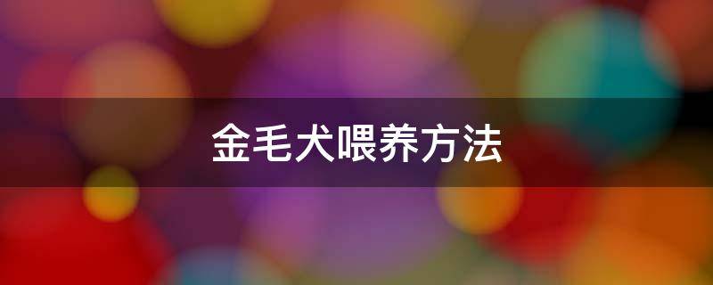 金毛犬喂养方法 金毛幼犬喂养方法