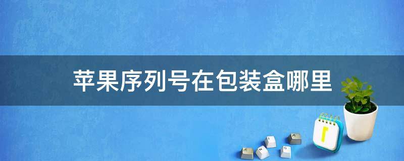 苹果序列号在包装盒哪里（苹果包装盒子序列号在哪）