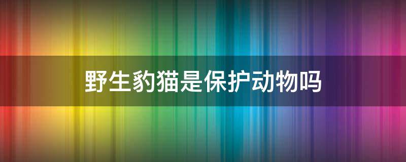 野生豹猫是保护动物吗 野生豹猫是不是保护动物