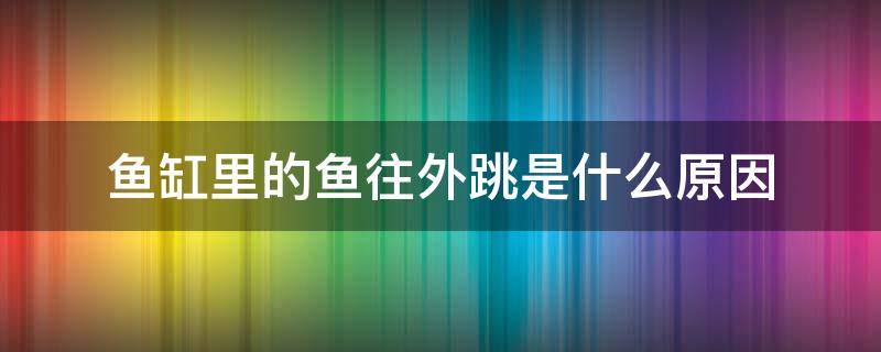 鱼缸里的鱼往外跳是什么原因 鱼缸里的鱼向外跳