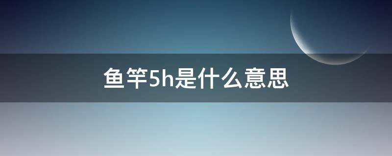 鱼竿5h是什么意思（鱼竿19调和28调是什么意思哪个好）