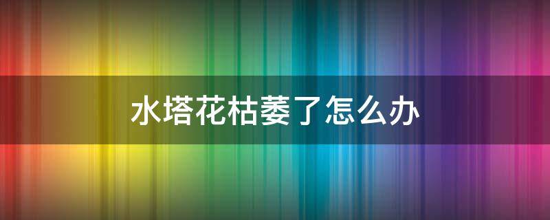 水塔花枯萎了怎么办 水塔花的花枯萎了怎么办