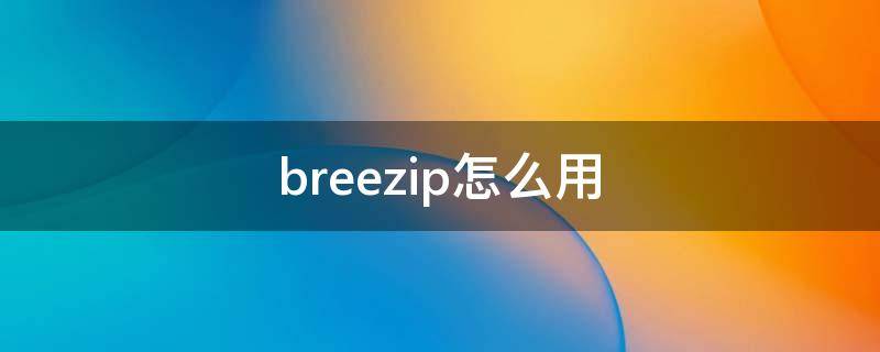 breezip怎么用（breezip好用吗）