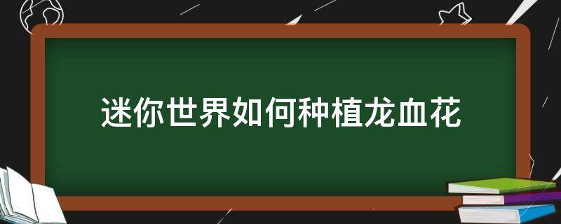 迷你世界如何种植龙血花（迷你世界怎么种植龙血花）